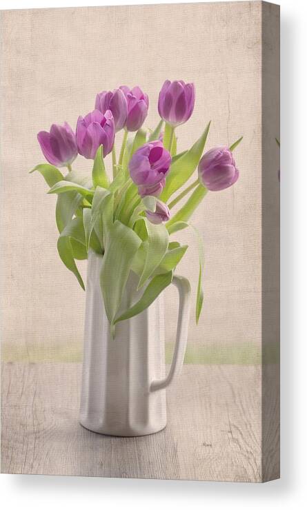 Tulip Canvas Print featuring the photograph Purple Spring Tulips by Kim Hojnacki