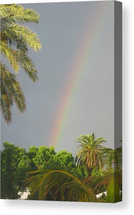 Rainbow Canvas Print featuring the photograph Rainbow Bermuda by Photographic Arts And Design Studio