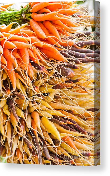 Carrots Canvas Print featuring the photograph Rainbow Roots by Cheryl Baxter