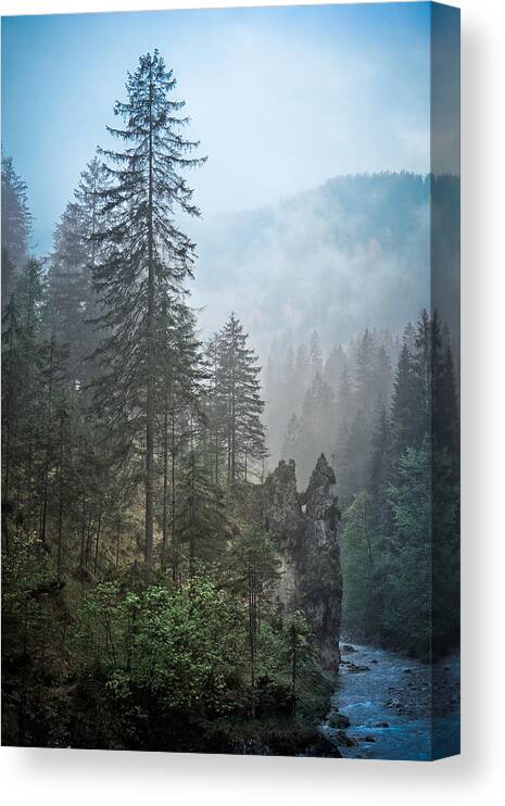 Bavaria Canvas Print featuring the photograph Rainy Day by Alexander Kunz