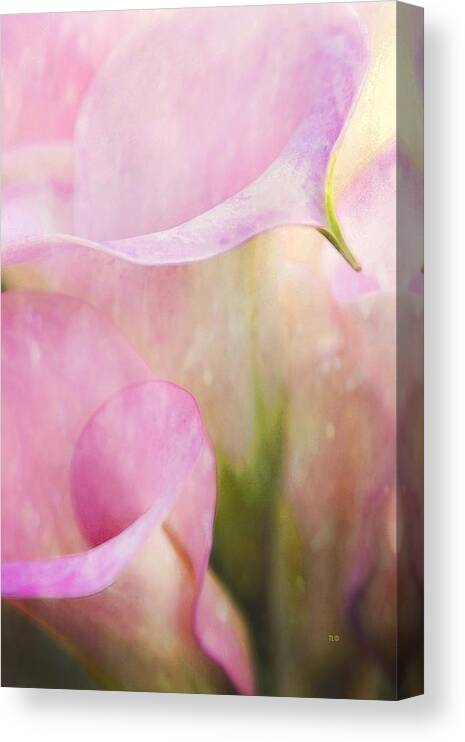 Shabby Chic Canvas Print featuring the photograph Rainy Day Calla Lilies by Theresa Tahara