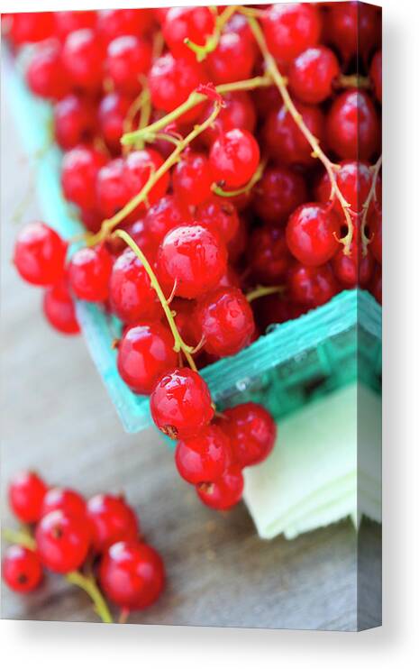 Red Currant Canvas Print featuring the photograph Red Currants by Nicolesy
