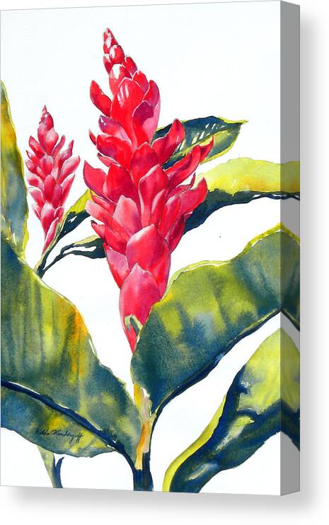 Red Ginger Flower Canvas Print featuring the painting Red Ginger by Hilda Vandergriff