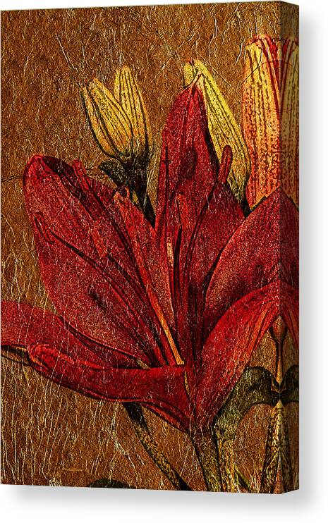 Flower Canvas Print featuring the photograph Red Lily Gold Leaf by Phyllis Denton
