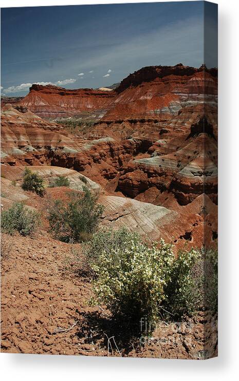 Rock Formations Canvas Print featuring the photograph 801A Red Rock Formations by NightVisions