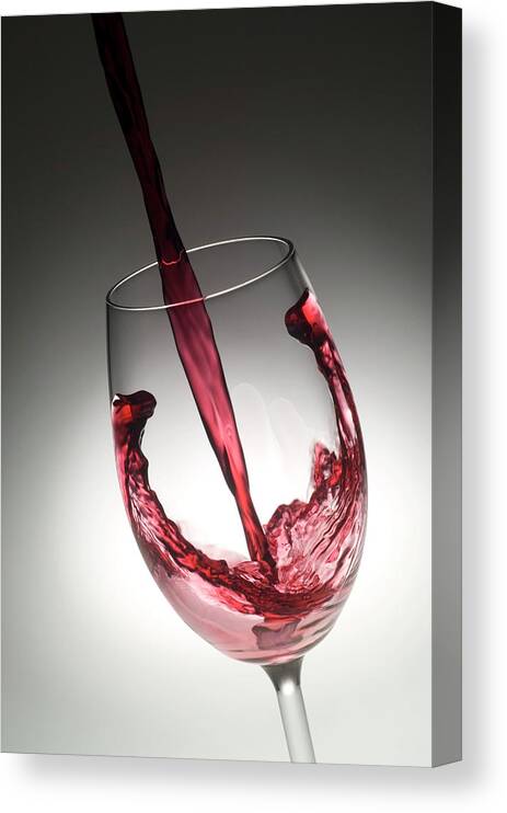 Drink Canvas Print featuring the photograph Red Wine by Daniel Sambraus/science Photo Library