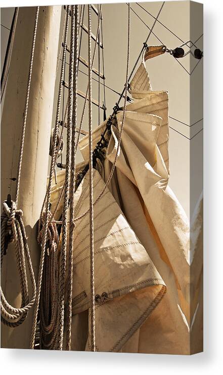 Reefing Canvas Print featuring the photograph Reefing the Mainsail In Sepia by Jani Freimann