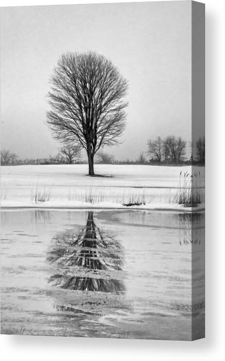 Frozen Canvas Print featuring the photograph Reflected by Cathy Kovarik