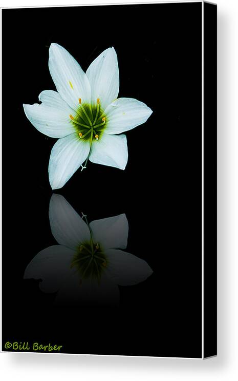 Floral Canvas Print featuring the photograph Reflected Iris by Bill Barber