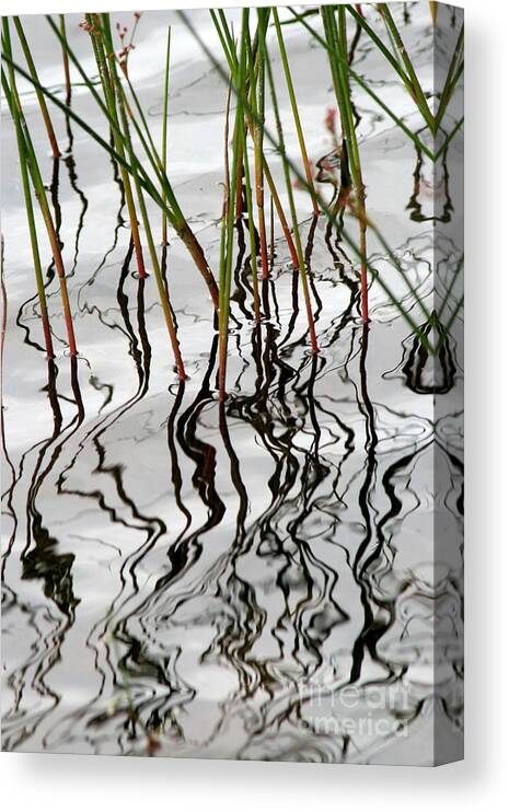 Reeds Canvas Print featuring the photograph Reflecting Ripples by Stan Reckard