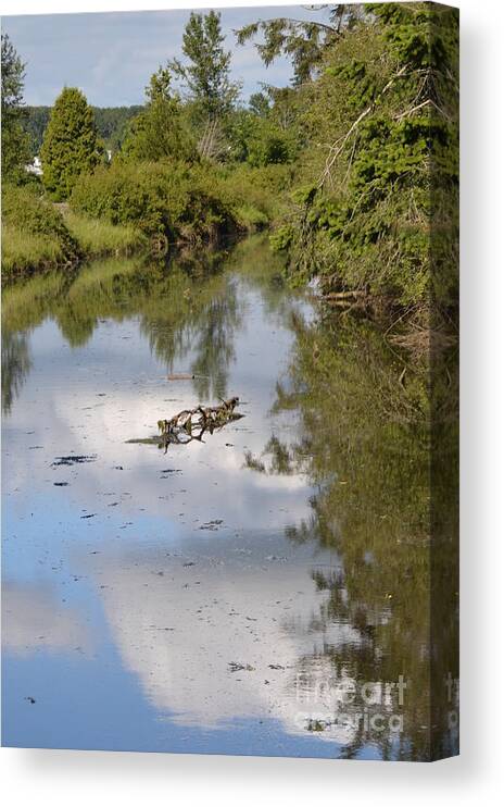 Water Landscape Canvas Print featuring the photograph Reflections of the Sky by Michael Inscoe