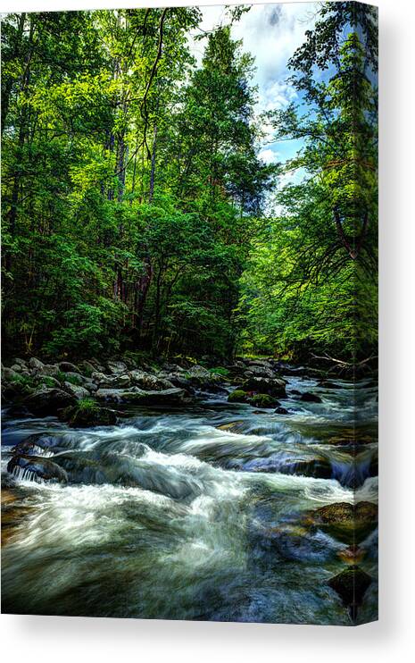 Smoky Mountains Canvas Print featuring the photograph Refreshing Morning Along The River by Michael Eingle