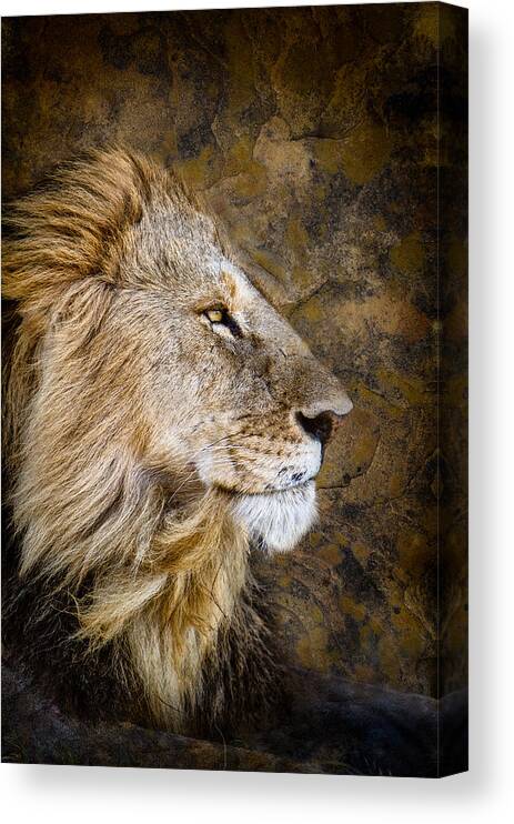 Africa Canvas Print featuring the photograph Regal Bearing by Mike Gaudaur