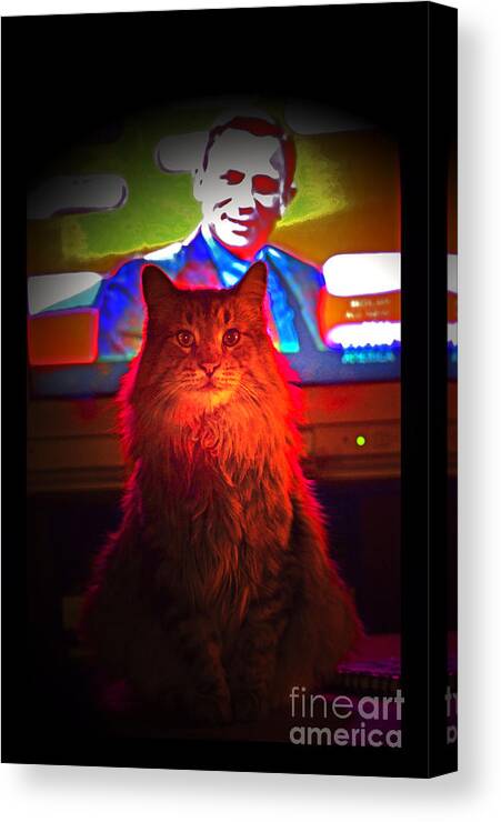 Cat Portrait Canvas Print featuring the photograph Riley and James Bond by Susanne Still