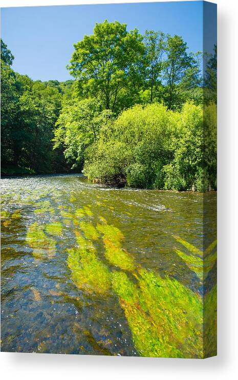 River Canvas Print featuring the photograph River Thaya In Austria by Andreas Berthold