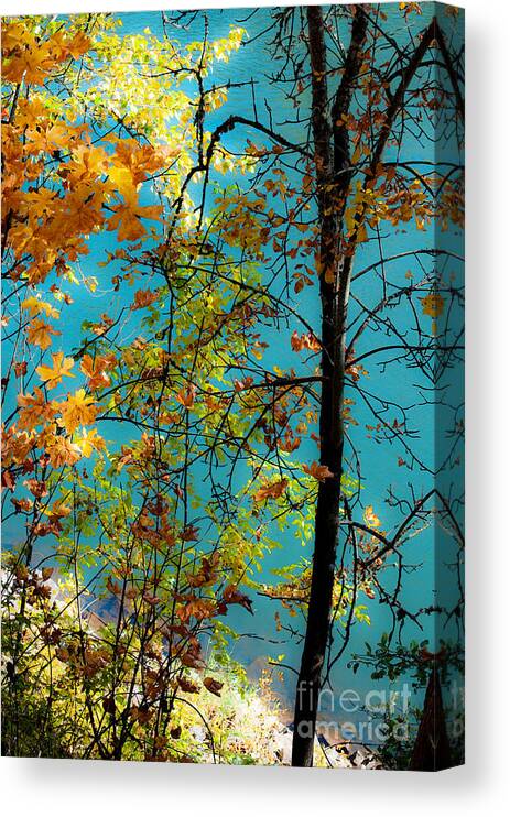 Autumn Canvas Print featuring the photograph Rivers Edge by Gwyn Newcombe