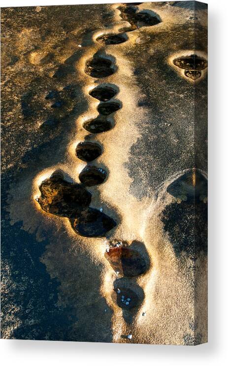 Rock Art Canvas Print featuring the photograph Rock Pool Art B by Peter Kneen