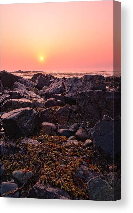 Atlantic Ocean Canvas Print featuring the photograph Rocks And Seaweed Sunrise On The NH Seacoast by Jeff Sinon