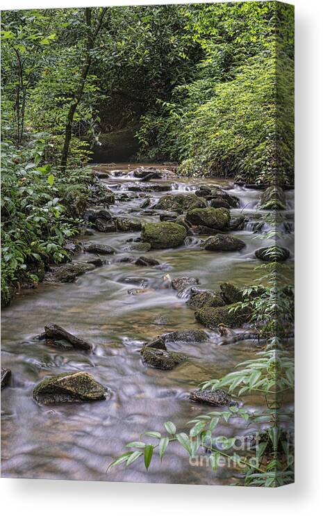 Landscape Canvas Print featuring the photograph Rocks in the Stream by Louise St Romain