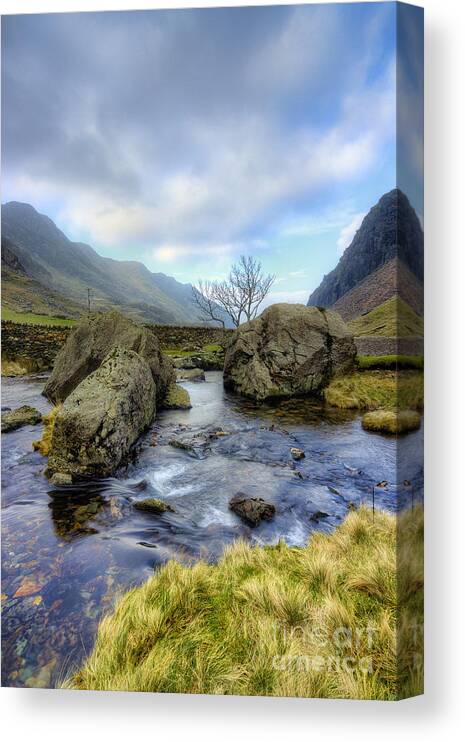 Stream Canvas Print featuring the photograph Rocky Stream by Ian Mitchell