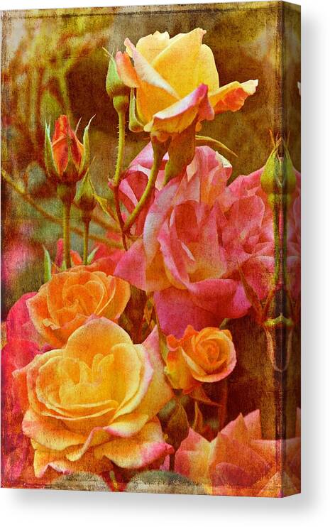 Floral Canvas Print featuring the photograph Rose 272 by Pamela Cooper