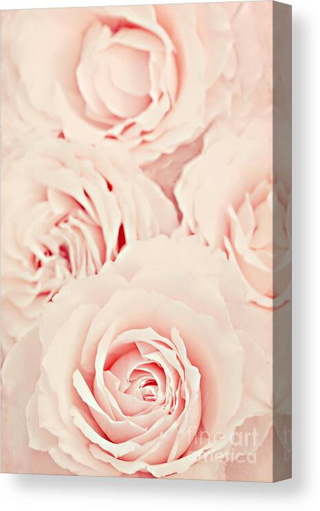 Roses Canvas Print featuring the photograph Roses by Diana Kraleva
