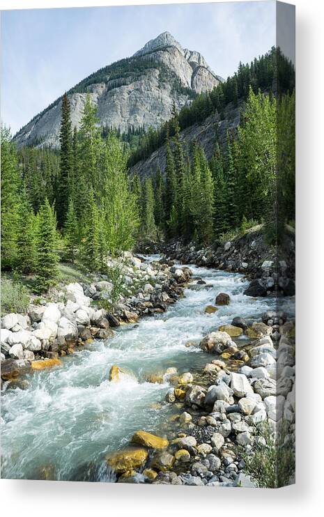 Canada Giclee Canvas Picture Art Mountain Stream Alberta 