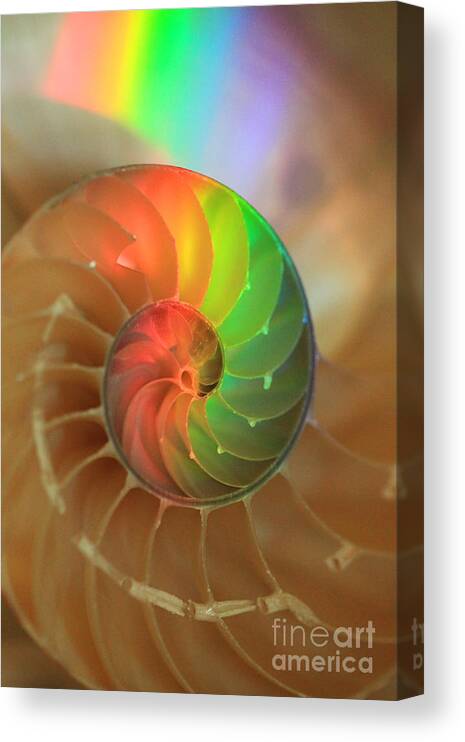 Color Canvas Print featuring the photograph Sacred Spiral Rainbow by Jeanette French