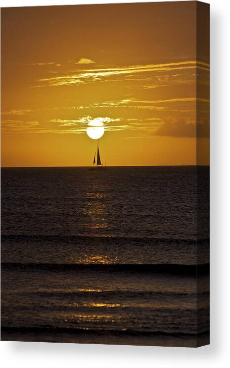 Aruba Canvas Print featuring the photograph Sailing at Sunset by David Letts