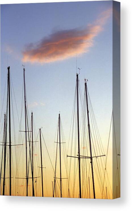 Sailboat Masts Canvas Print featuring the photograph A Forest of Sailboat Masts Silhouetted by a setting Sun by John Harmon
