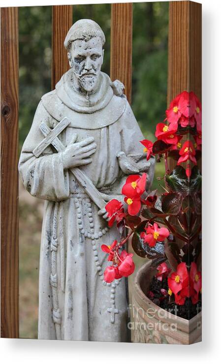 Saint Canvas Print featuring the photograph Saint Francis next to Bigonia Flower by Cynthia Snyder