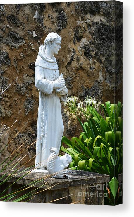 San Antonio Canvas Print featuring the photograph Saint Francis of Assisi Statue at Mission San Jose in San Antonio Missions National Historical Park by Shawn O'Brien