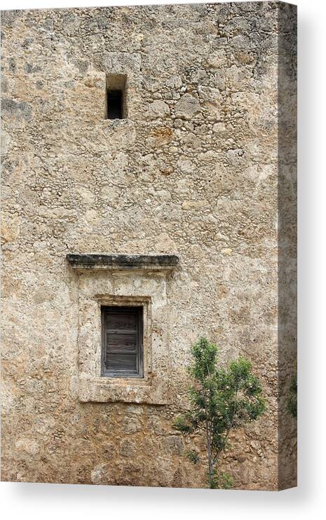 Mission San Jose Canvas Print featuring the photograph San Jose Wall Detail w Tree by Mary Bedy