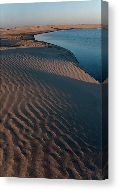 Tranquility Canvas Print featuring the photograph Sand Dunes Along Scammons Lagoon Coast by Mark Newman