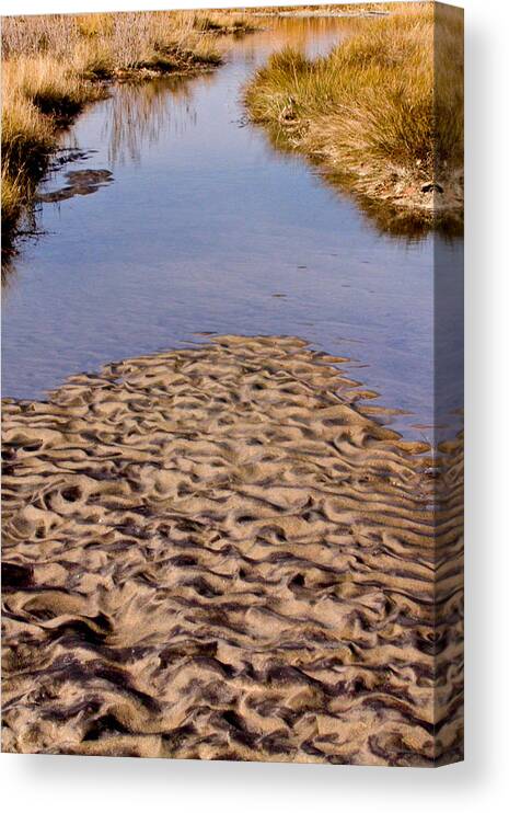 New Jersey Canvas Print featuring the photograph Sandform At Sand Hook by Gary Slawsky