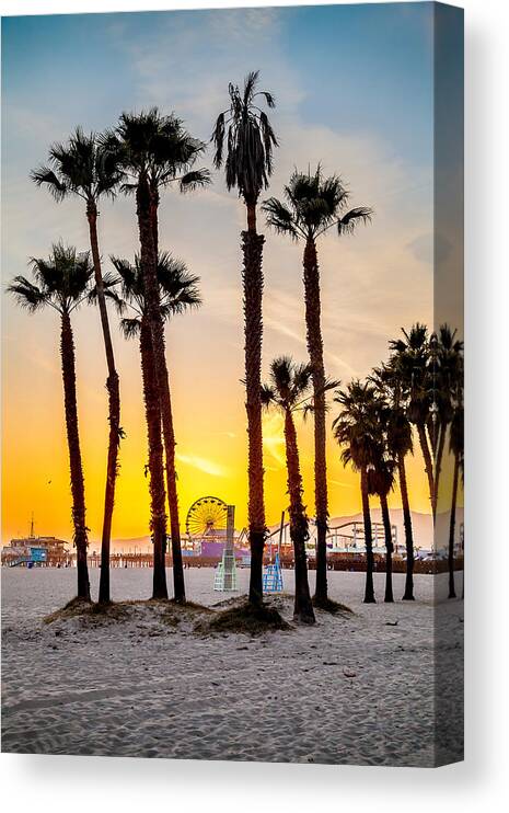 Los Angeles Canvas Print featuring the photograph Santa Monica Palms by Az Jackson