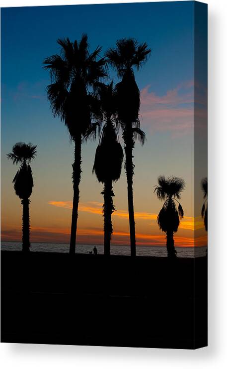 Palm Canvas Print featuring the photograph Santa Monica Sunset by David Smith