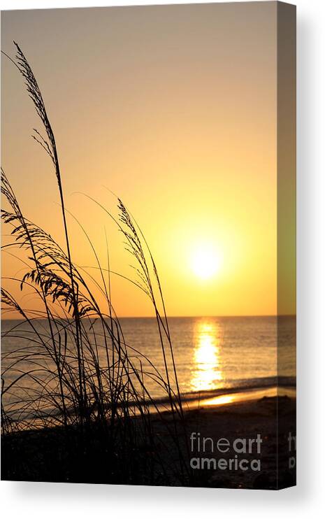 Sunset Canvas Print featuring the photograph Seaoats Sunset by Christiane Schulze Art And Photography