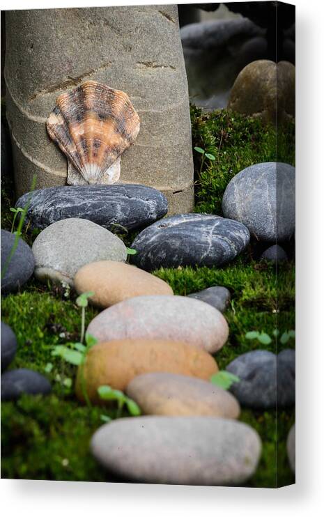 Garden Canvas Print featuring the photograph Seashell In The Garden IV by Marco Oliveira