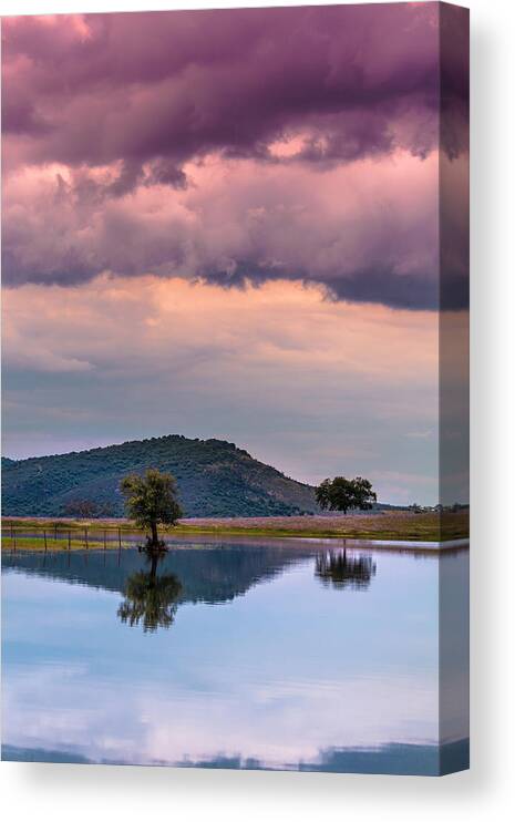 Peace Canvas Print featuring the photograph Serenity and Fullness by Edgar Laureano