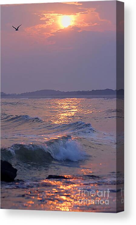 Ocean Canvas Print featuring the photograph Serenity by Anthony Sacco