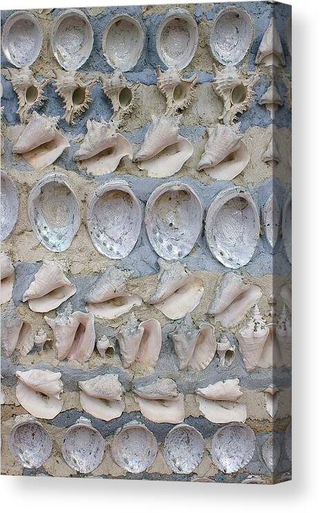 Michigan Canvas Print featuring the photograph Shells by Randy Pollard