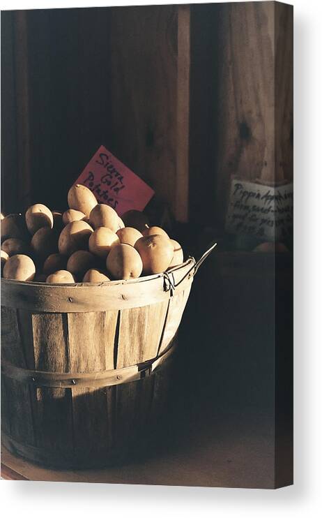 Potatoes Canvas Print featuring the photograph Sierra Gold by Caitlyn Grasso