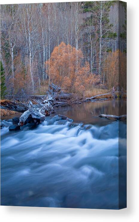 Nature Canvas Print featuring the photograph Silence Of The Fall by Jonathan Nguyen