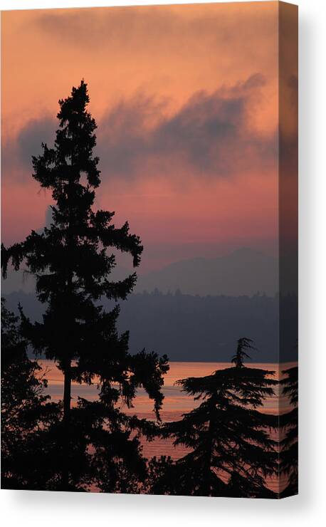Sunrise Canvas Print featuring the photograph Silhouette at Sunrise by E Faithe Lester