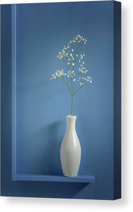 Flower Canvas Print featuring the photograph Simplicity by Stephen Clough