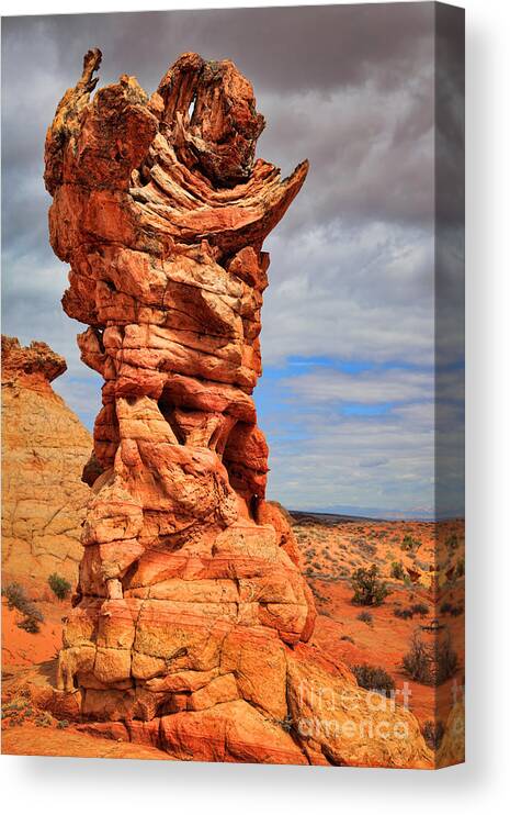 America Canvas Print featuring the photograph Sinister Hoodoo by Inge Johnsson