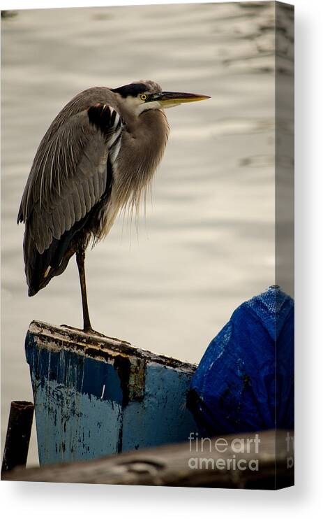 Great Canvas Print featuring the photograph Sittin' on the Dock of the Bay by Donna Greene
