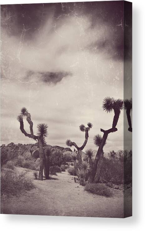 Joshua Tree National Park Canvas Print featuring the photograph Skies May Fall by Laurie Search
