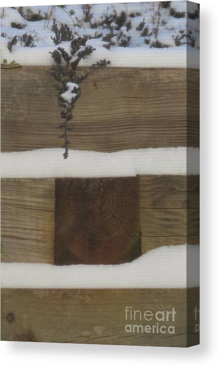 Snow Canvas Print featuring the photograph Snow Art I by Anita Adams